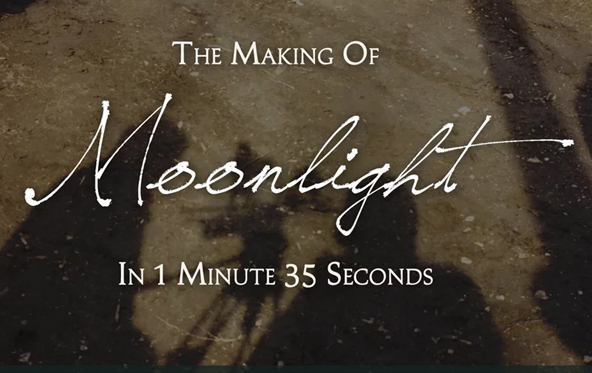 'The Making of Moonlight', by Michele McGovern